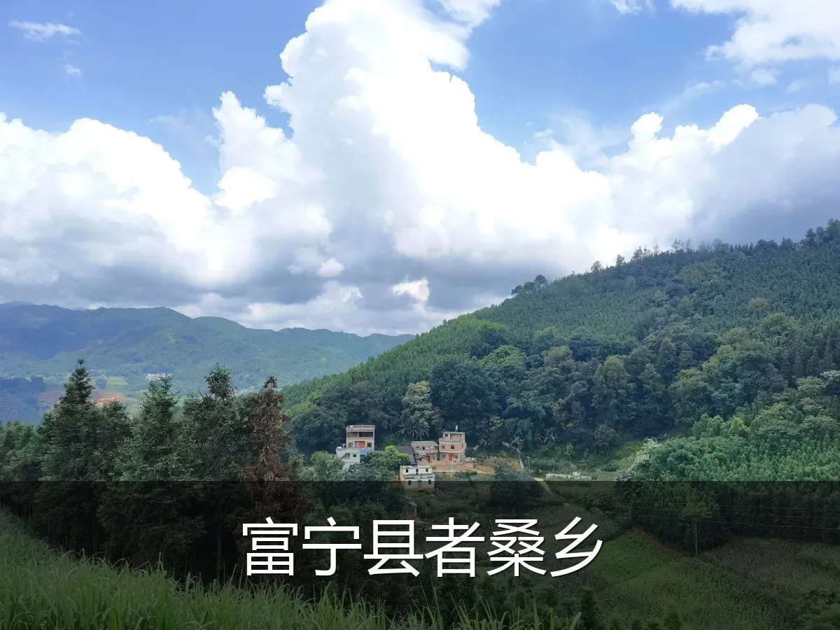 富宁县者桑乡